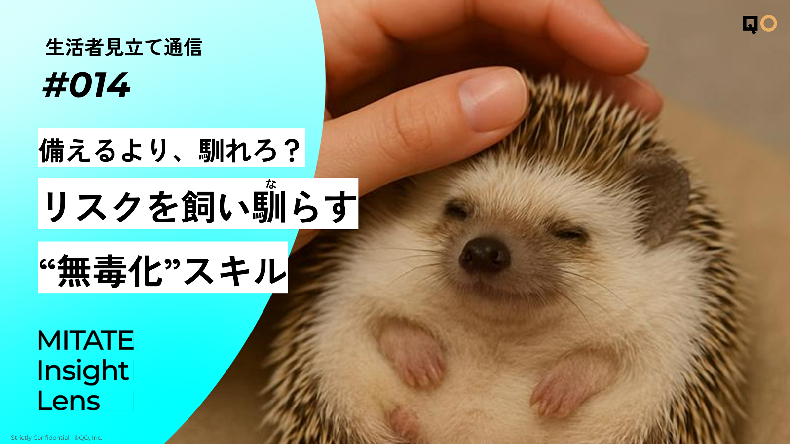 生活者見立て通信#14「備えるより、馴れろ?リスクを飼い馴らす“無毒化”スキル」